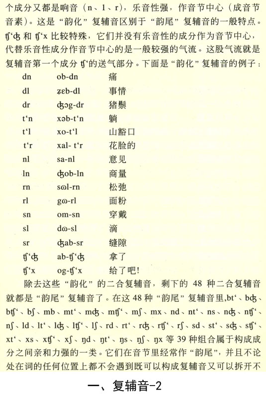 蒙什么合成语_蒙氏结节什么样子图片(5)