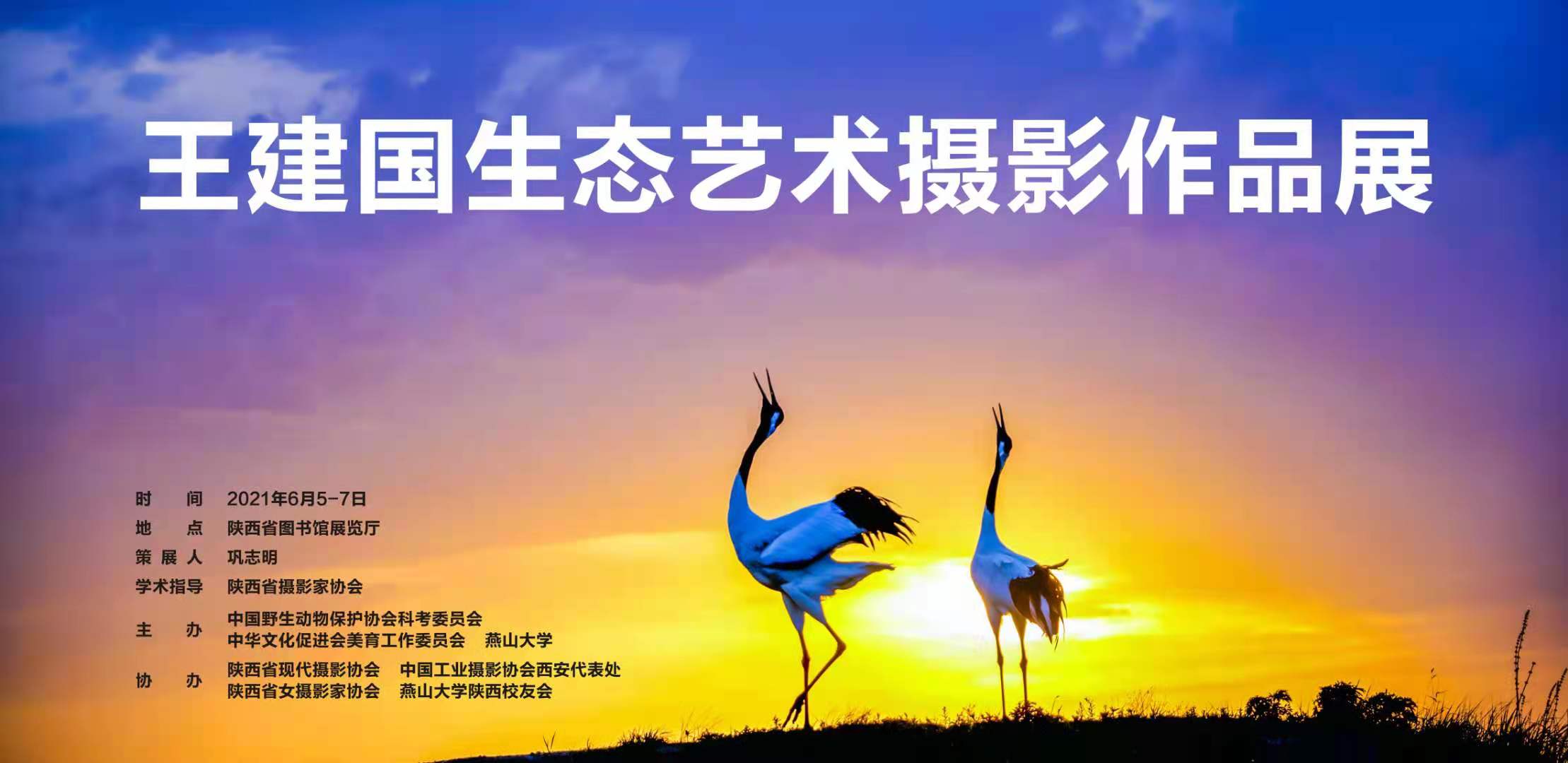 【展览】王建国生态艺术摄影作品展将于2021年6月5日至7日在陕西省图书馆展览厅开展